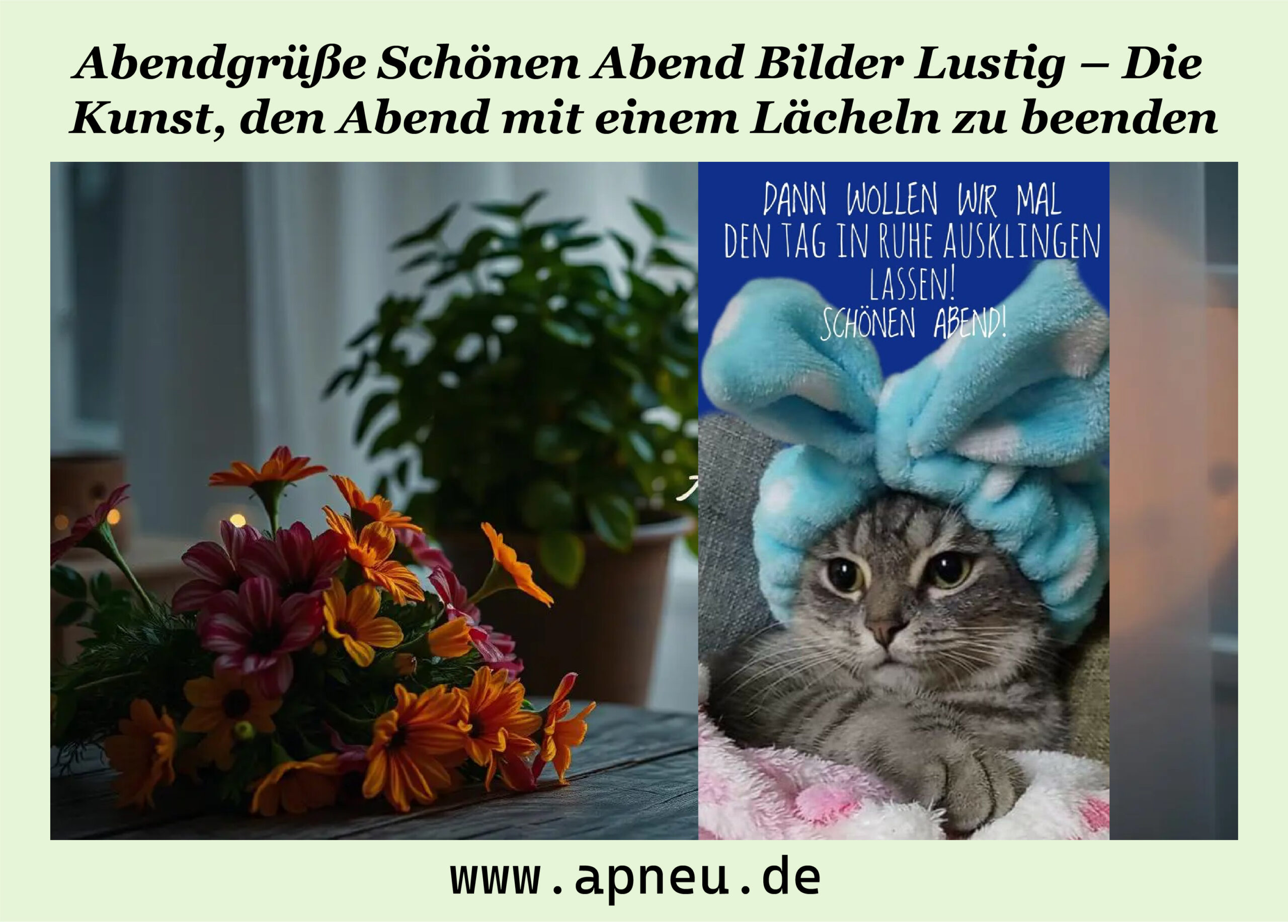 abendgrüße schönen abend bilder lustig